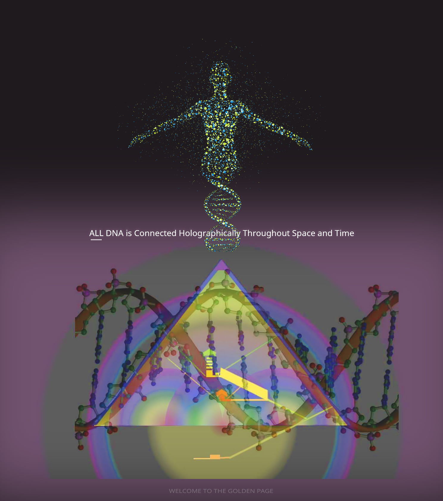 DNA is Connected Holographically