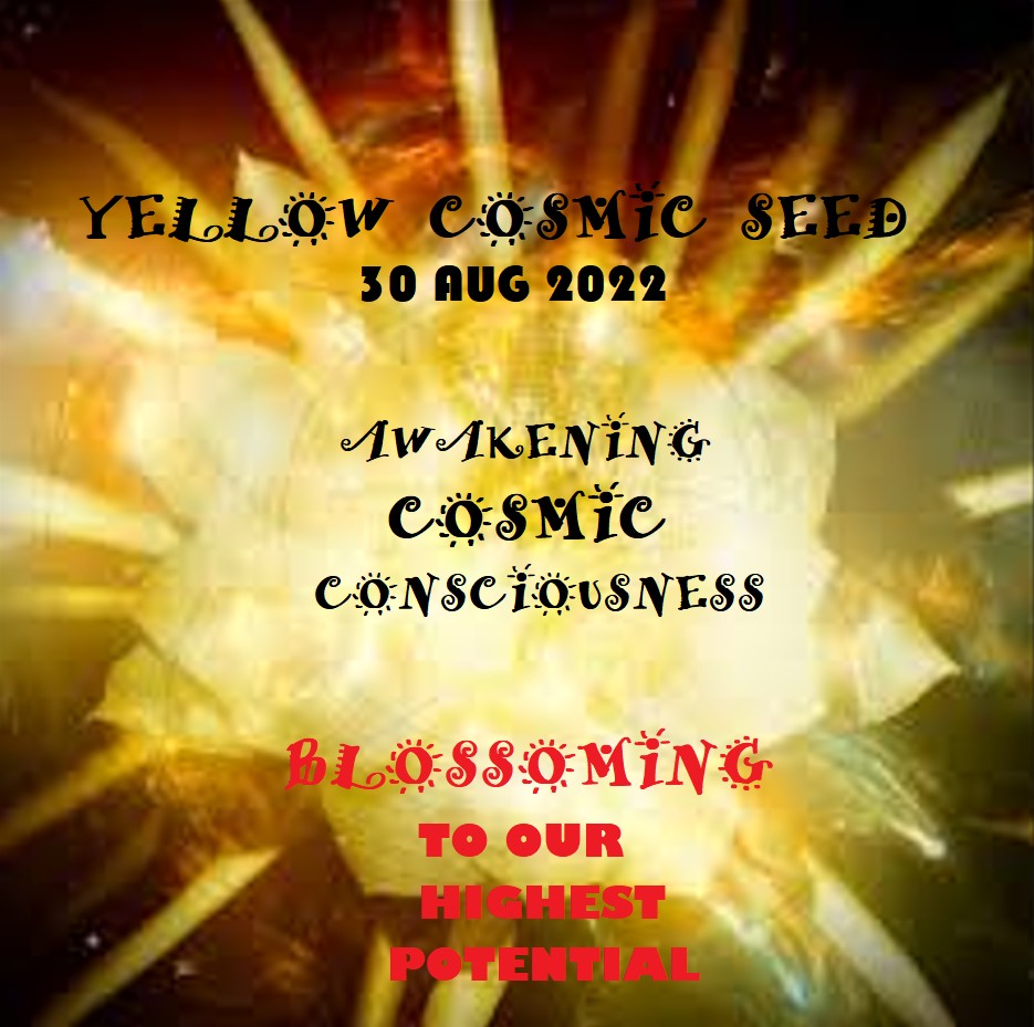 YELLOW COSMIC SEED