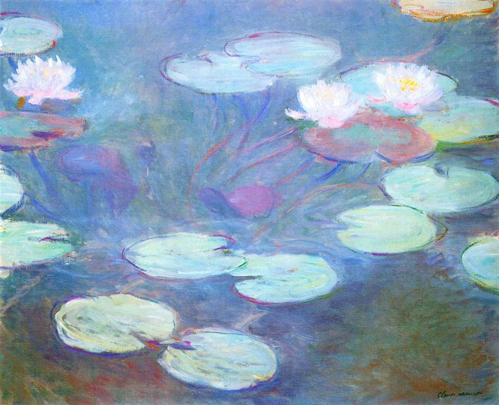 Water Lilies Pink