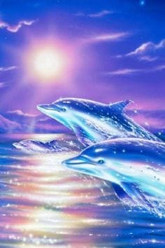 angel dolphins