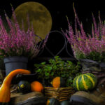 Read more about the article Harvest Full Moon in Pisces Puja/ Prayer/ Ceremony