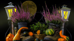 Read more about the article Harvest Full Moon in Pisces Puja/ Prayer/ Ceremony