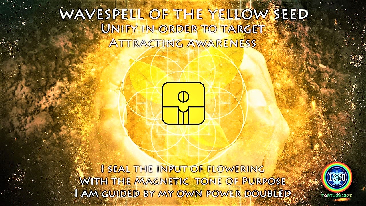 Wavespell of the Yellow Seed