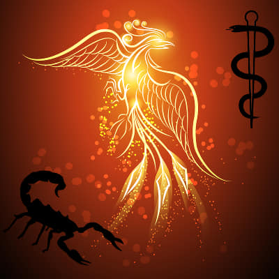 scorpion phoenix