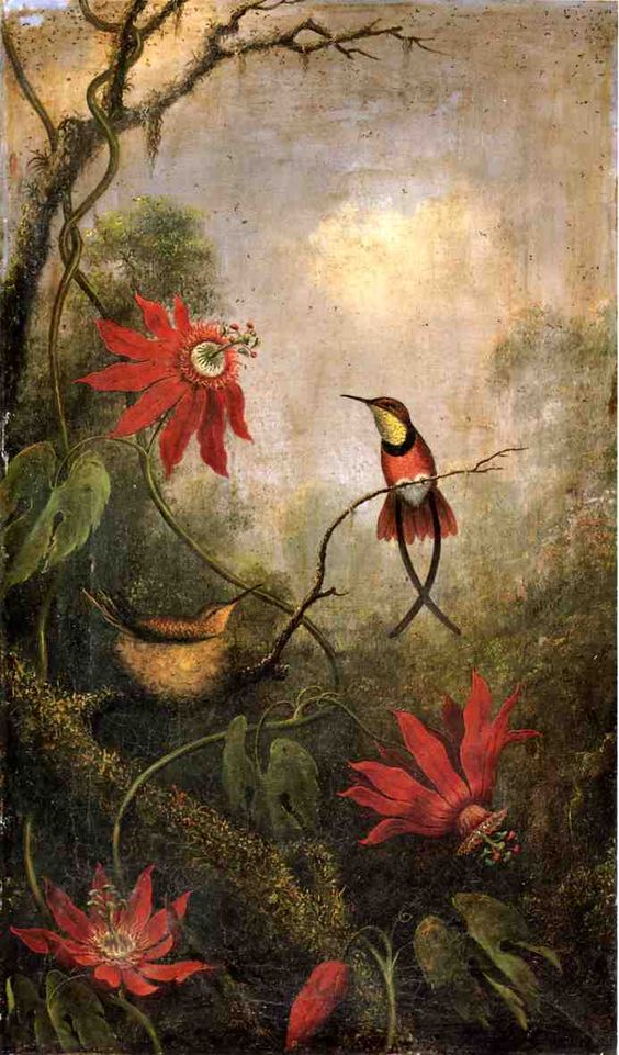 Passion Flowers And Hummingbirds