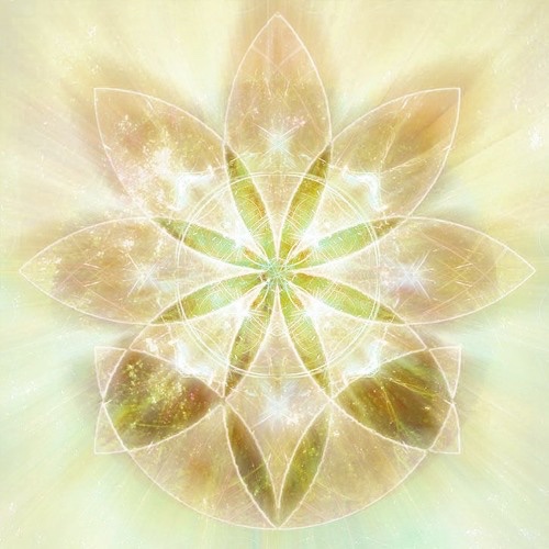 Sacred Flower Geometry