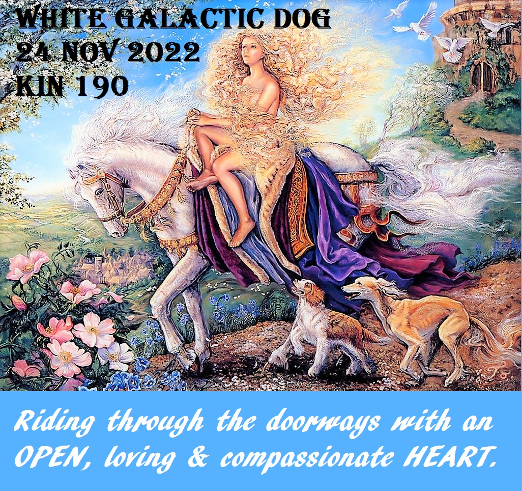 WHITE GALACTIC DOG