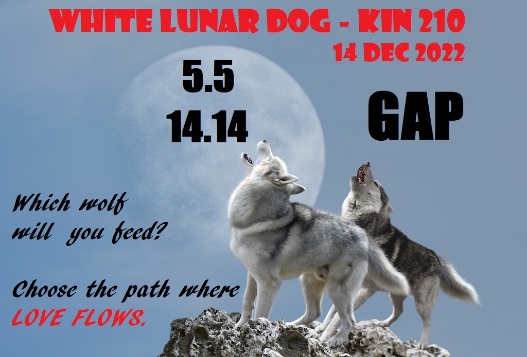 White Lunar Dog