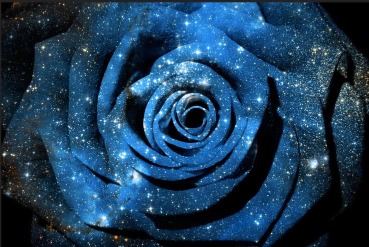 Portal of the Blue Rose