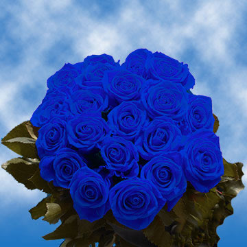 Blue Rose Oracles