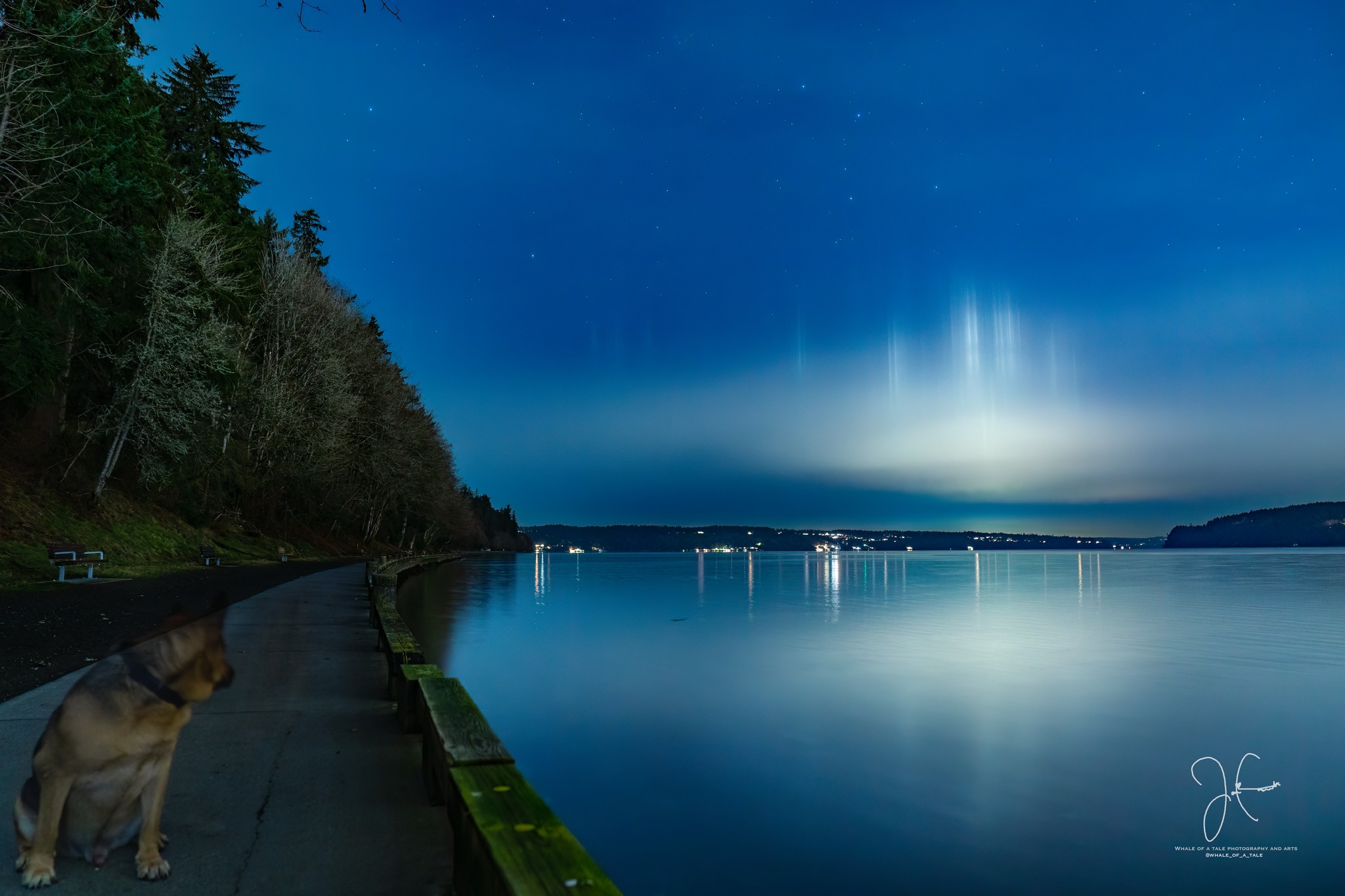 Light pillars over Tacoma