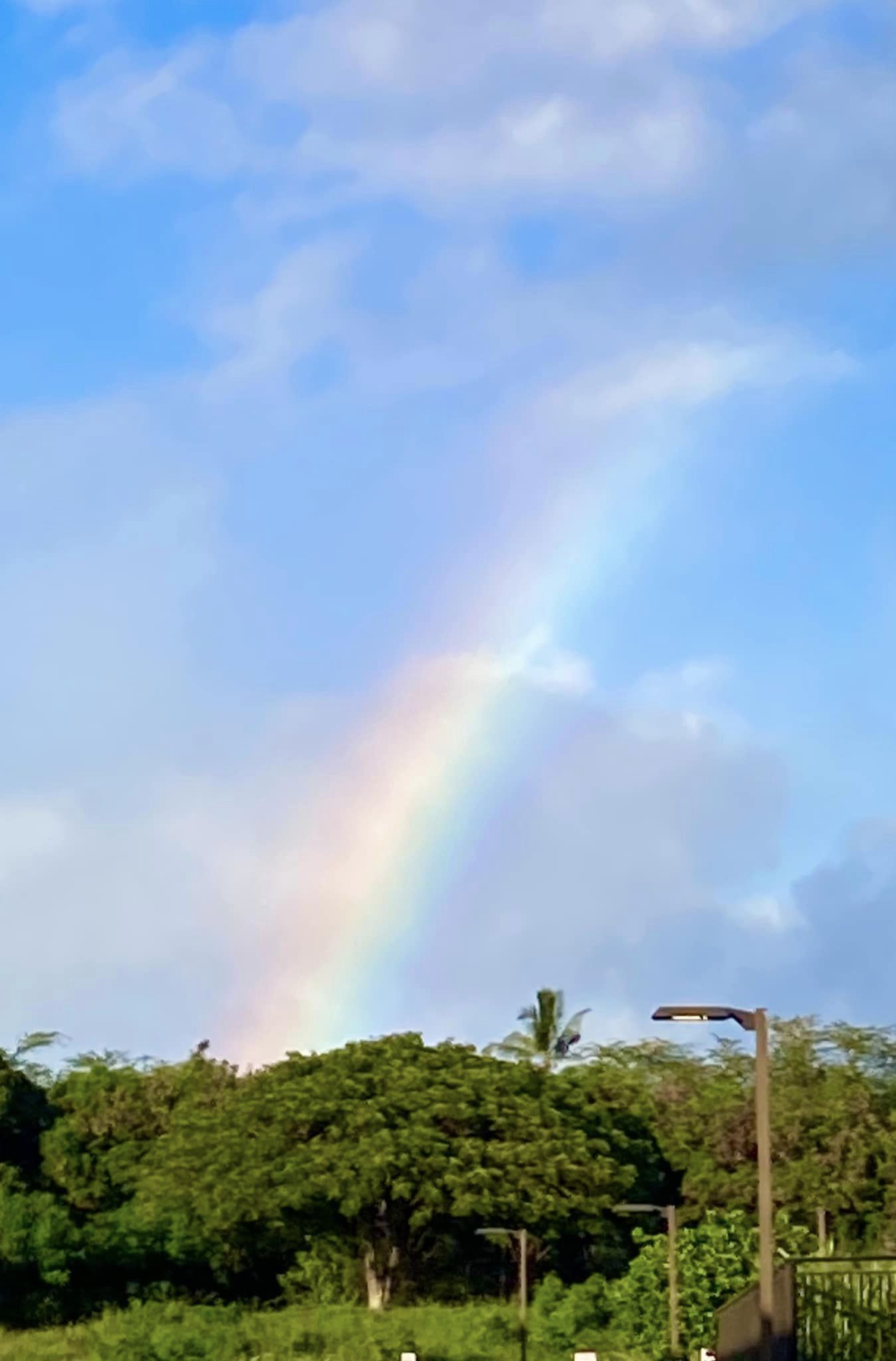 MAGIC and HEART messages of the rainbow