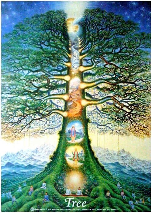 Tree of Time