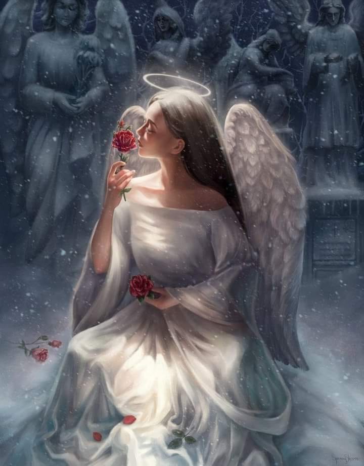 Angels of the Rose