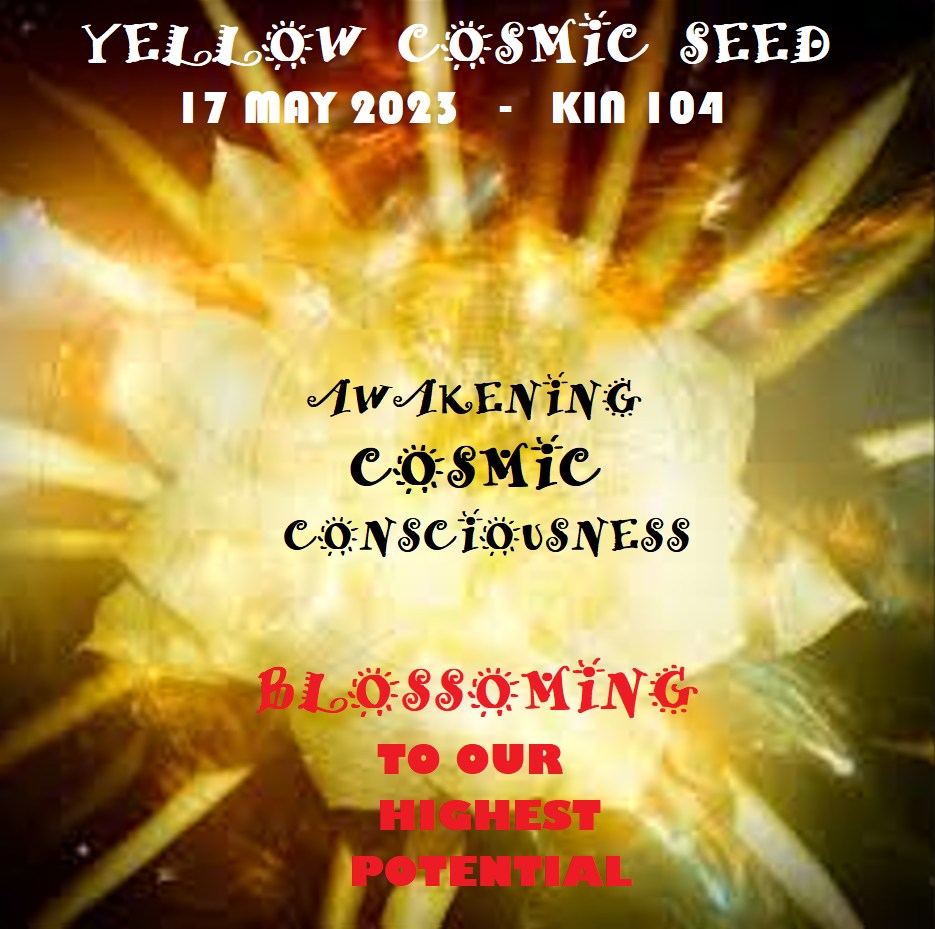 YELLOW COSMIC SEED