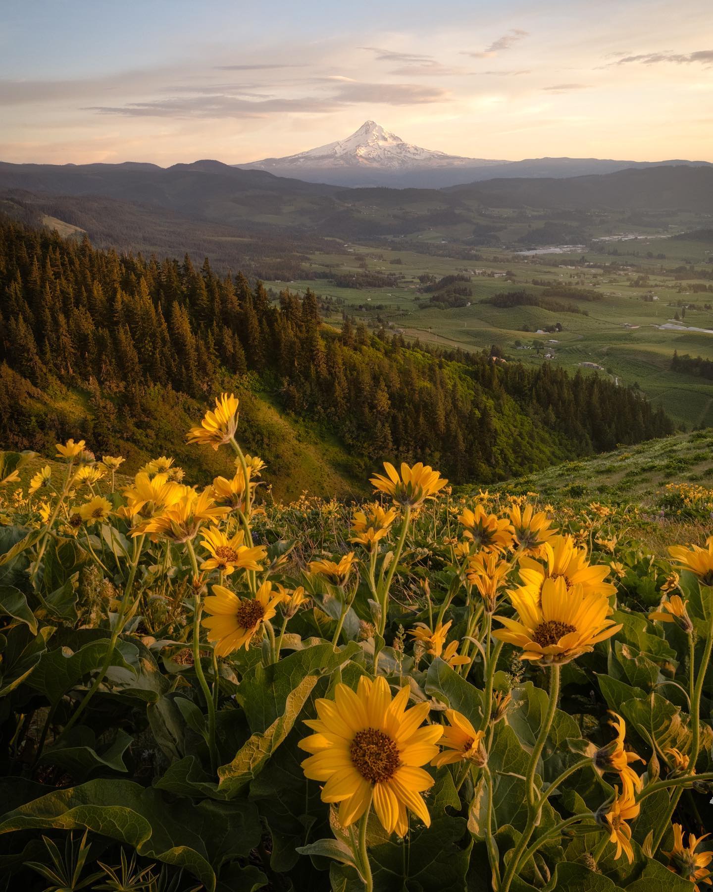 a great Mount Hood viewpoint