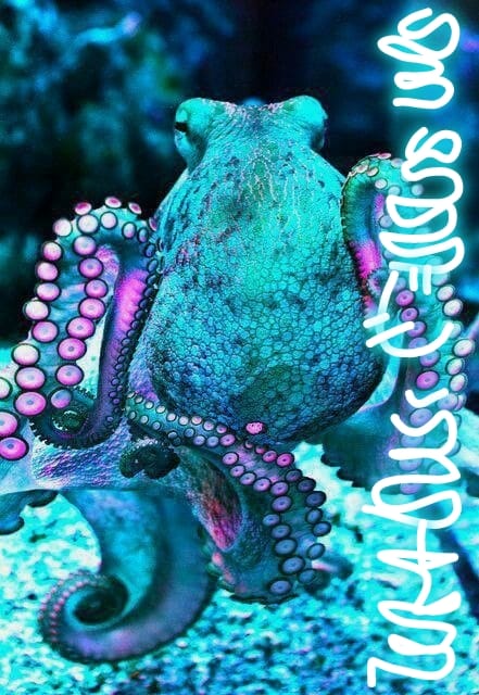 Andromedan Octopus