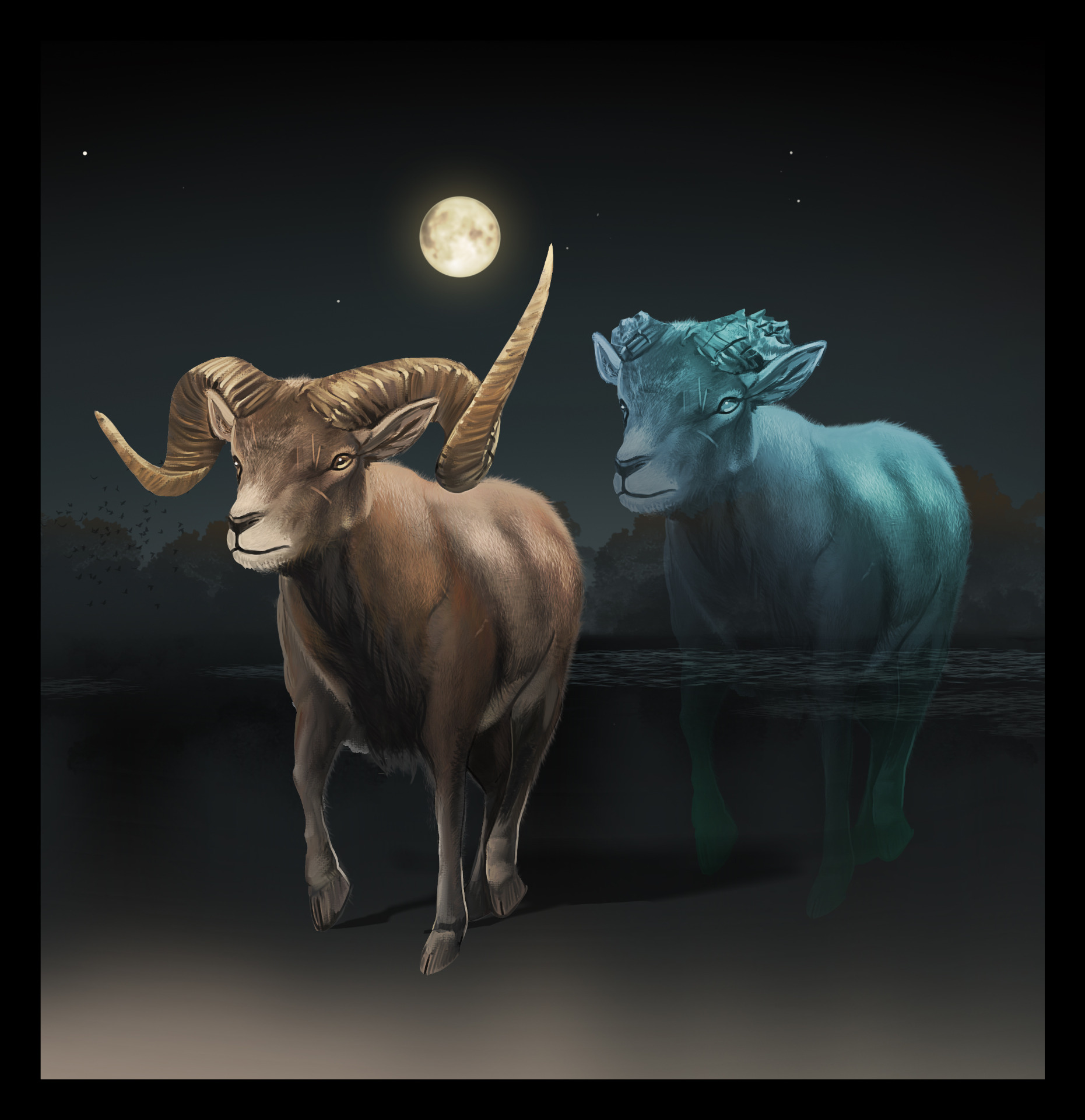 Aries the Ram into Taurus the Bull