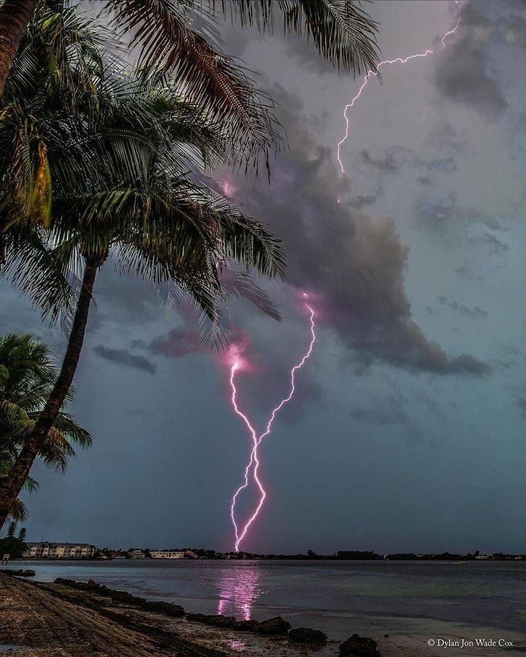 Pinkish-hued lightning strikes twice in the same spot Sarasota, Florida