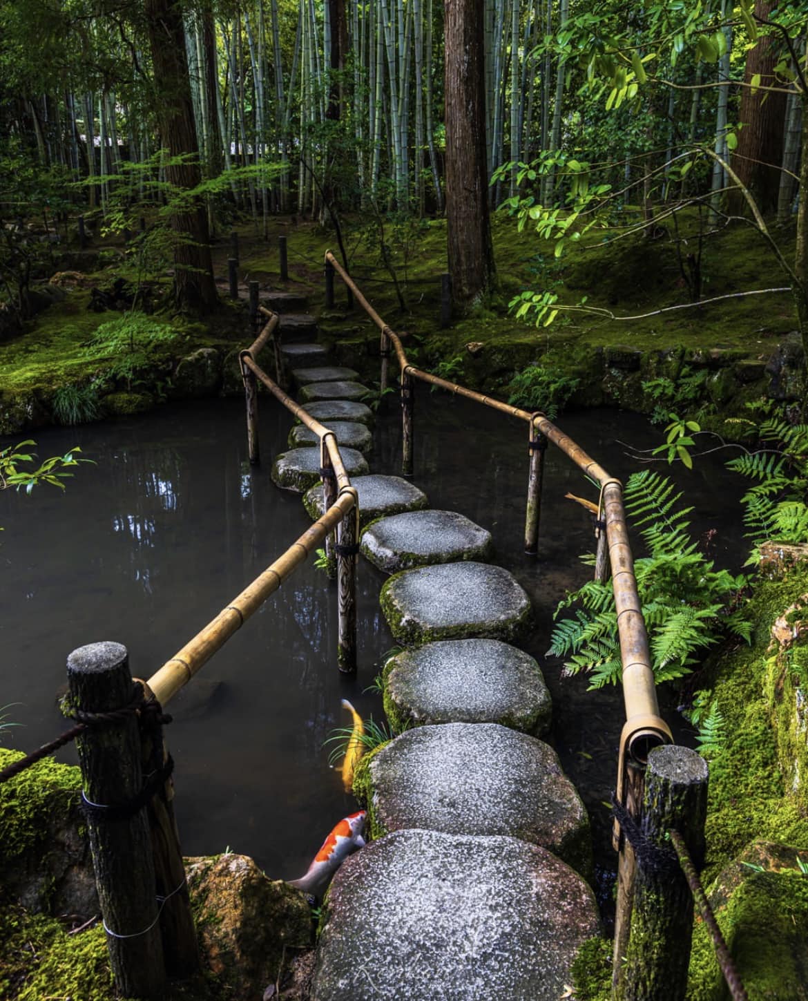  Tenju-an, Kyoto, Japan