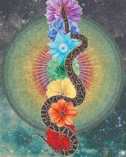 The serpent shows the way to hidden things