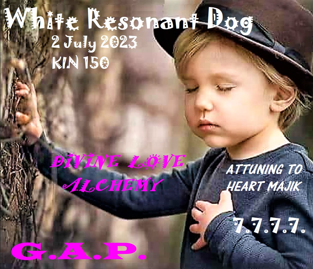 WHITE RESONANT DOG