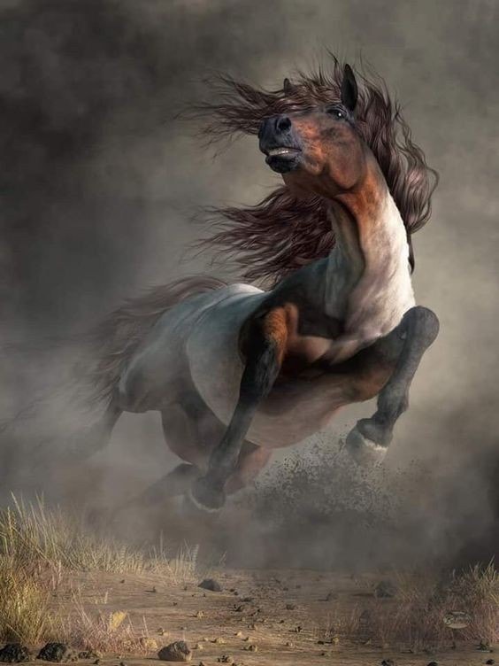 Wild Horse