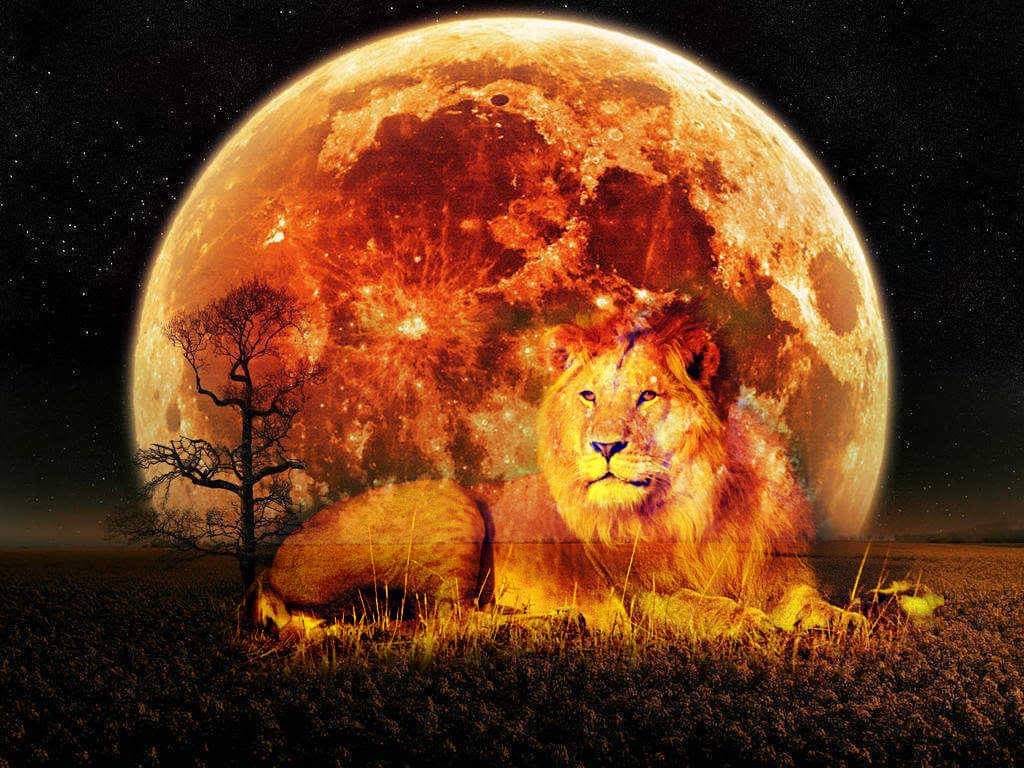 Lion moon