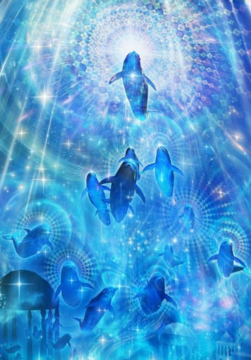 THE WHALES AND ASCENSION