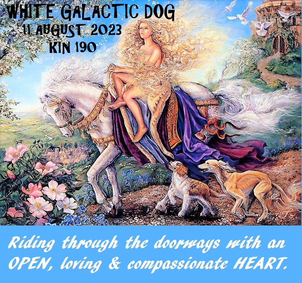 WHITE GALACTIC DOG