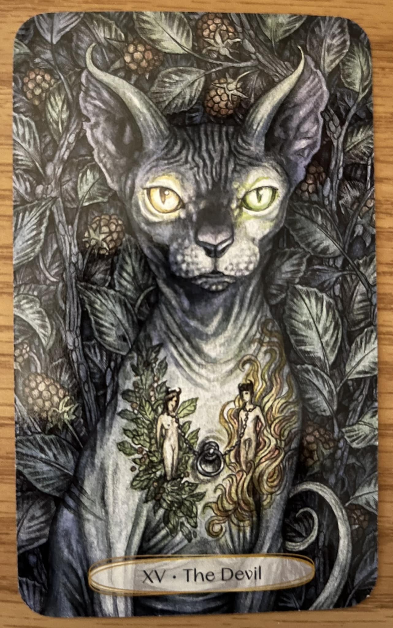 Soul Cats Tarot