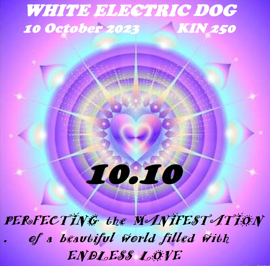 WHITE ELECTRIC DOG
