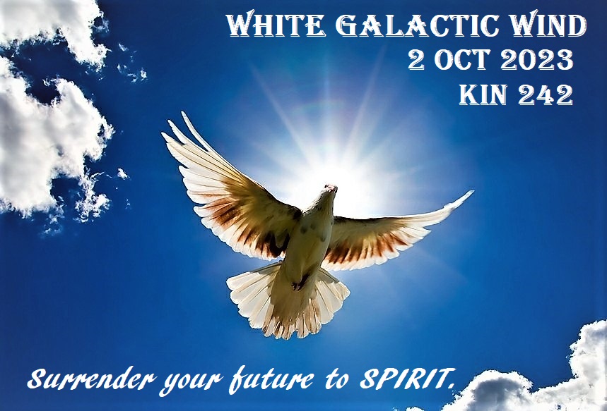 WHITE GALACTIC WIND