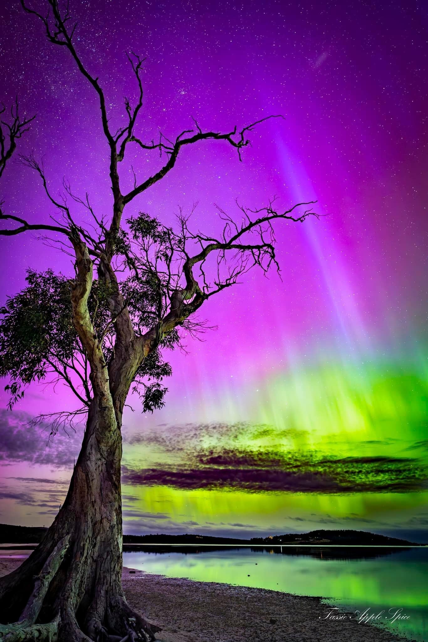 Aurora Australis, Tasmania