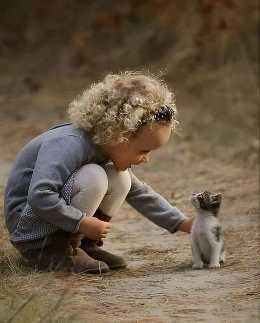 Child and Kitten