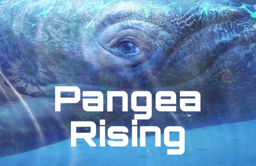 Pangea is anchored in the ethers