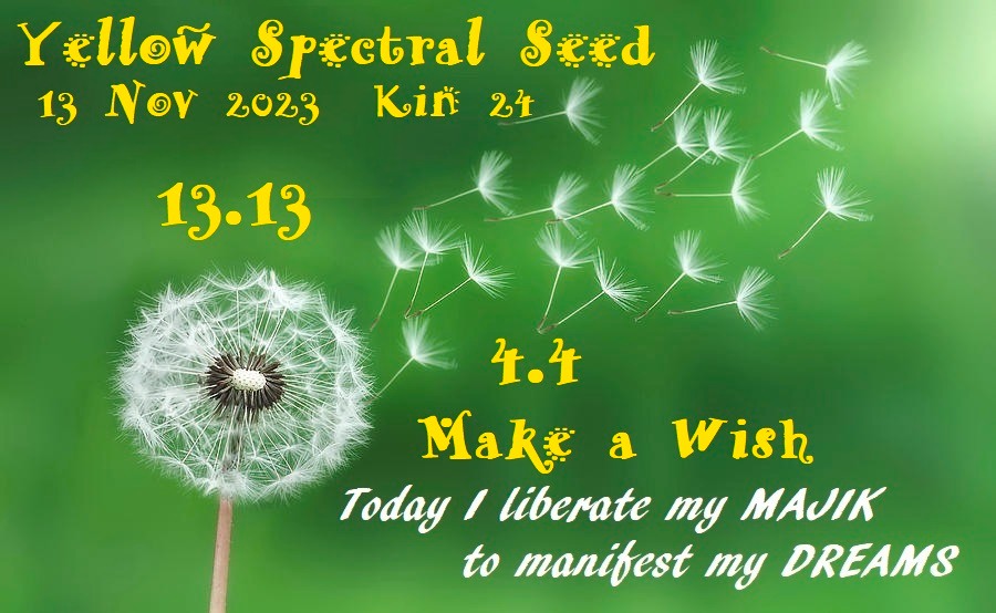 YELLOW SPECTRAL SEED
