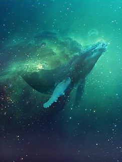 Cosmic Cetacean Realm