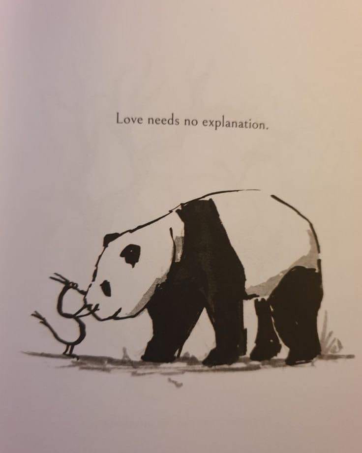 Love Needs No Explanation