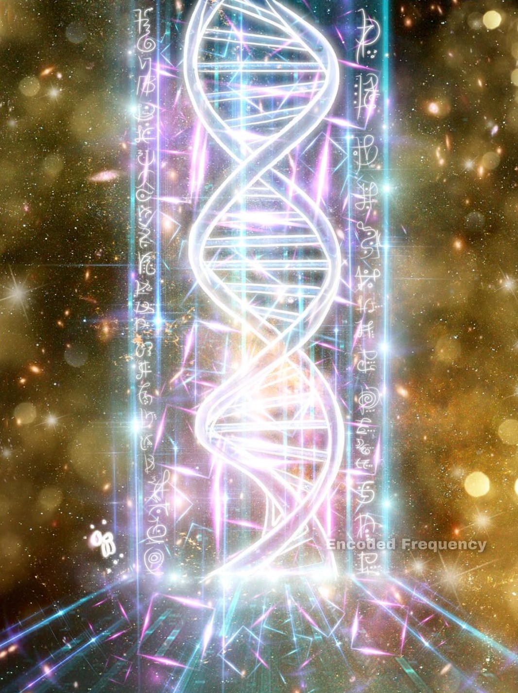 12th-dimensional DNA strands