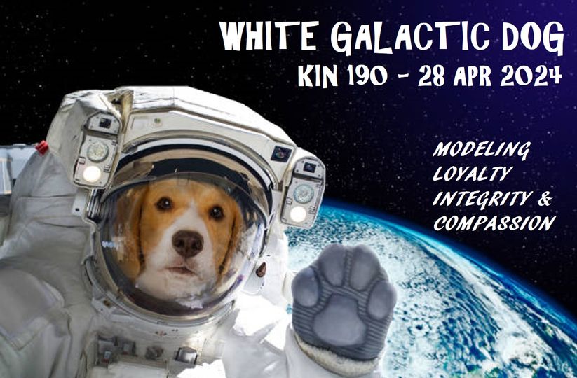 WHITE GALACTIC DOG