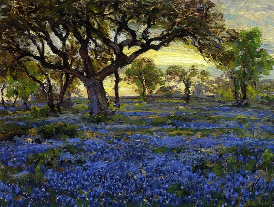 Old Live Oak Tree and Bluebonnets on the West Texas Military Grounds