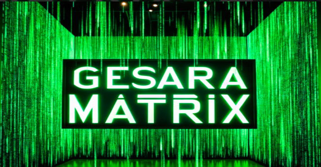 GESARA Matrix