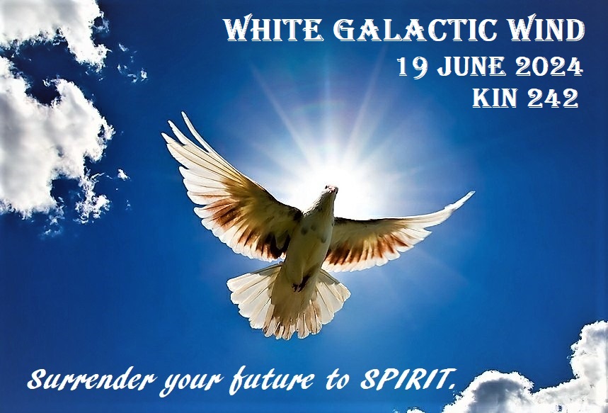 WHITE GALACTIC WIND