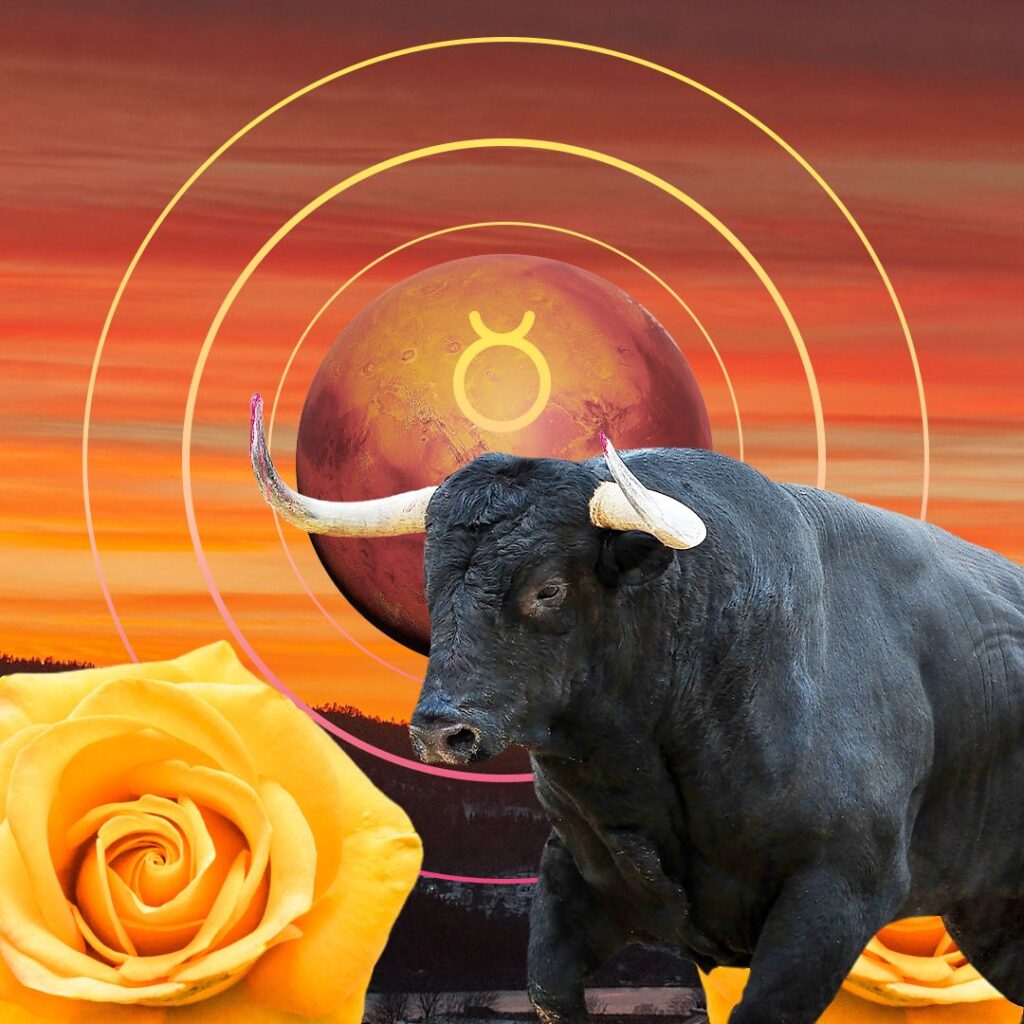 earth sign Taurus the Bull