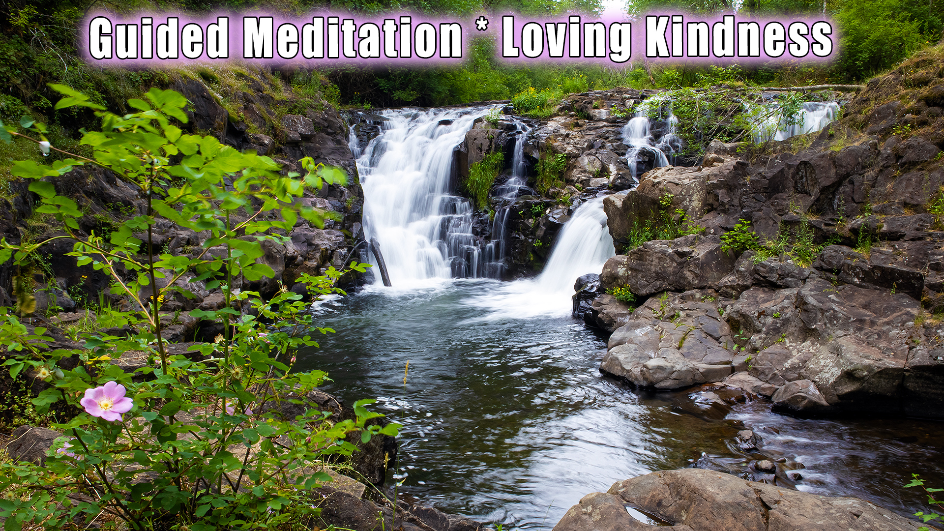 You are currently viewing Guided Meditation : Loving Kindness