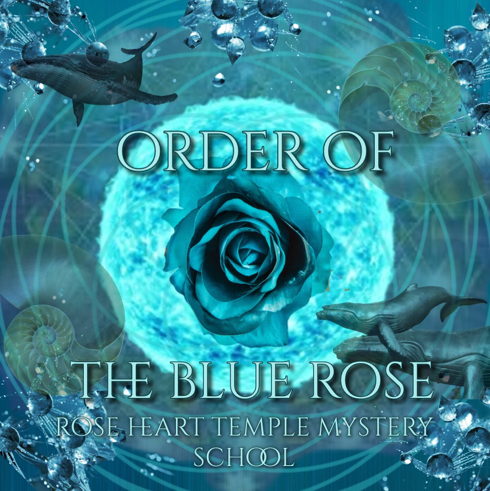 The Order of the Blue Rose