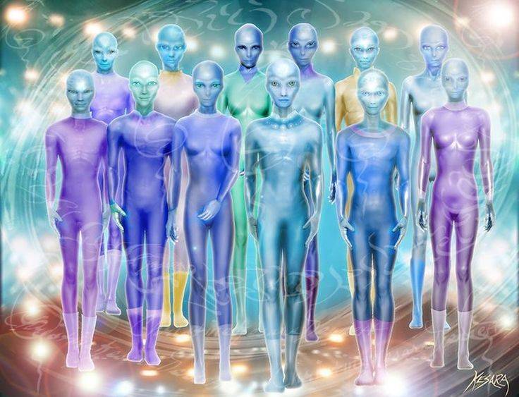 WE ARE THE PLEIADIANS