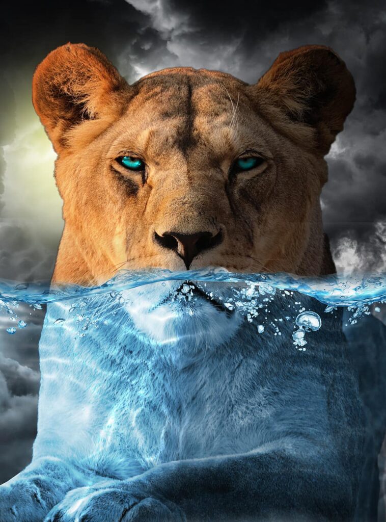 Water Lioness