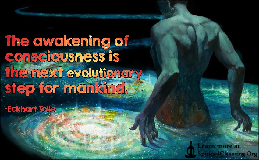 An Awakened Consciousness